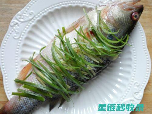 去除鱼腥味，让你的鱼完美无缺 (去除鱼腥味用什么调料)