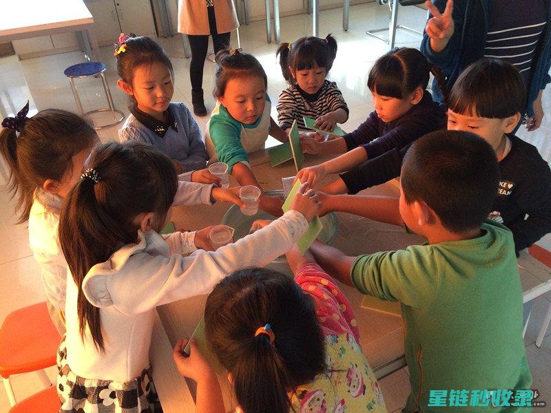 探究贝类吐沙现象：海洋生物的生存智慧 (贝类吐沙时,在水里放入什么会有奇效?)